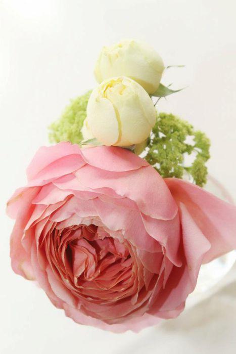 Ready To Go Wholesale Centerpieces Card