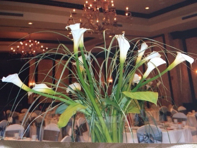 Ready To Go Wholesale Centerpieces Card