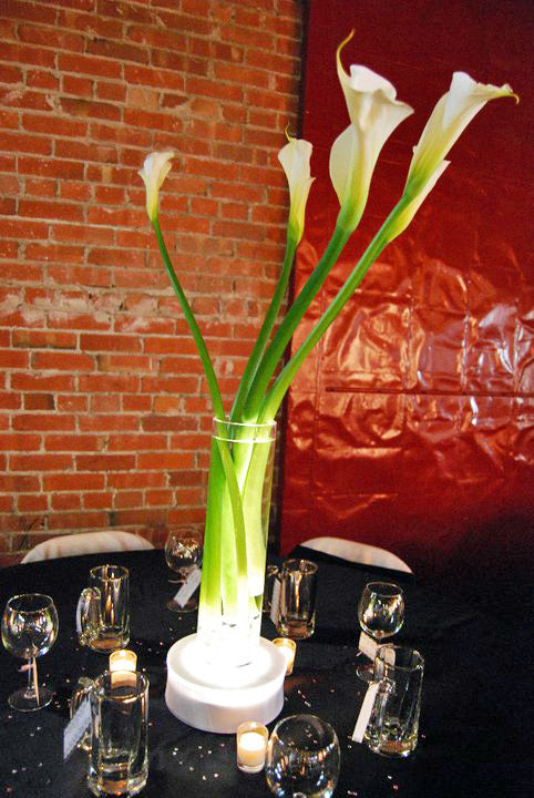 Ready To Go Wholesale Centerpieces Card