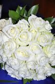 Ready To Go Wholesale Centerpieces Card