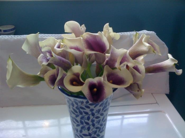 Ready To Go Wholesale Centerpieces Card