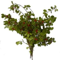 Ready To Go Wholesale Centerpieces Card