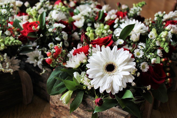 Ready To Go Wholesale Centerpieces Card