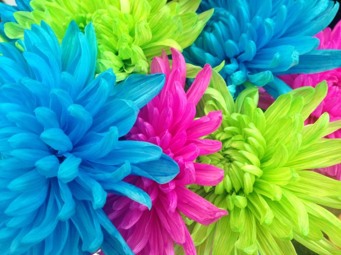 Ready To Go Wholesale Centerpieces Card