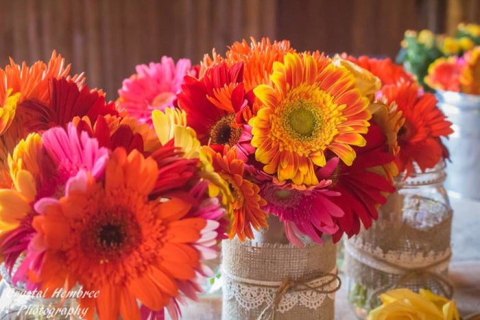 Ready To Go Wholesale Centerpieces Card