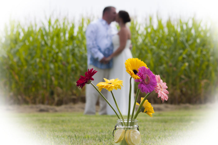 Ready To Go Wholesale Centerpieces Card