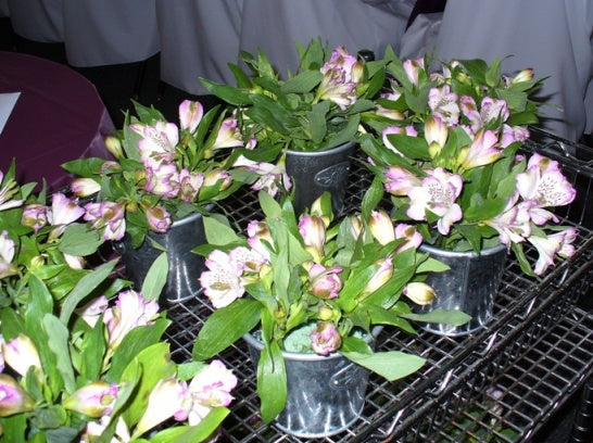 Ready To Go Wholesale Centerpieces Card
