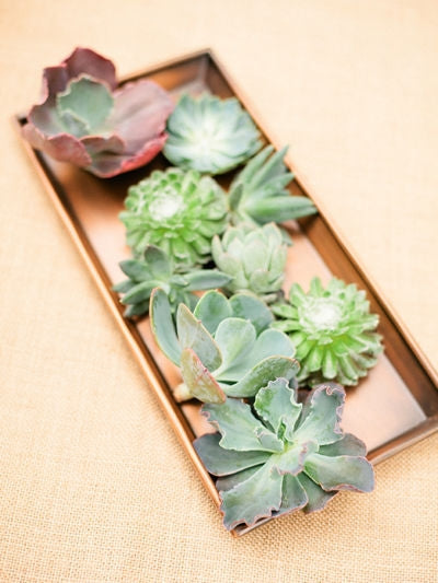 Ready To Go Wholesale Centerpieces Card