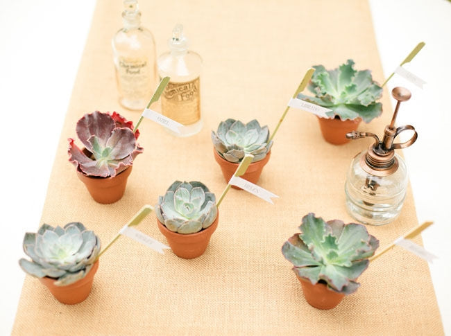 Ready To Go Wholesale Centerpieces Card