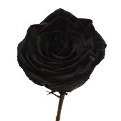 Ready To Go Wholesale Centerpieces Card