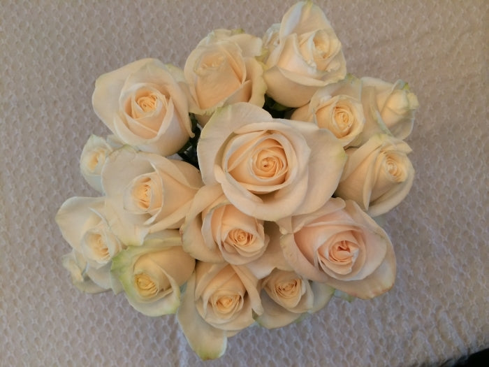 Ready To Go Wholesale Centerpieces Card