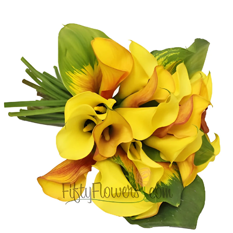 20 Mini Calla Lilies And Leaf Centerpieces Close Up - Image