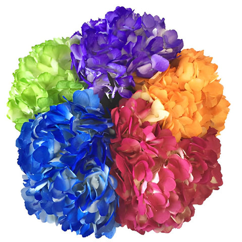 Airbrushed Sunkissed Hydrangea Flower 11952