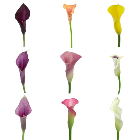20 Mini Calla Lilies and Leaf Centerpieces