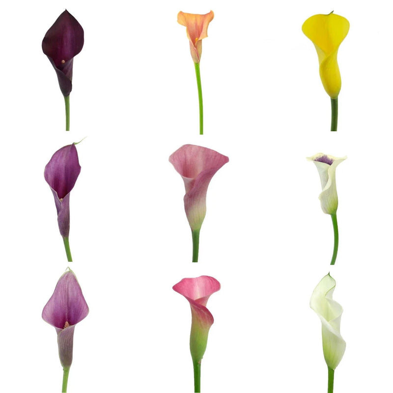 20 Mini Calla Lilies and Leaf Centerpieces