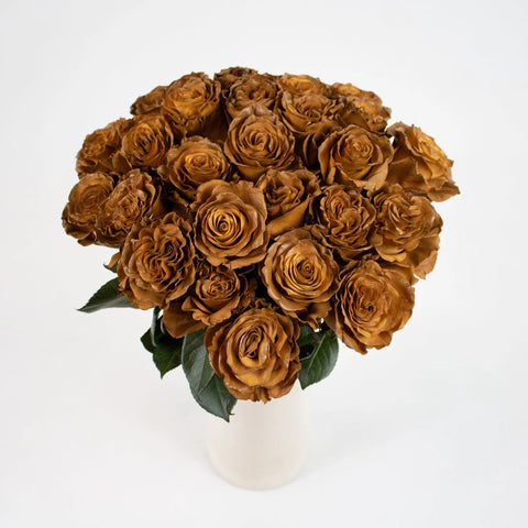 Caramel Machiatto Tinted Roses Apron - Image
