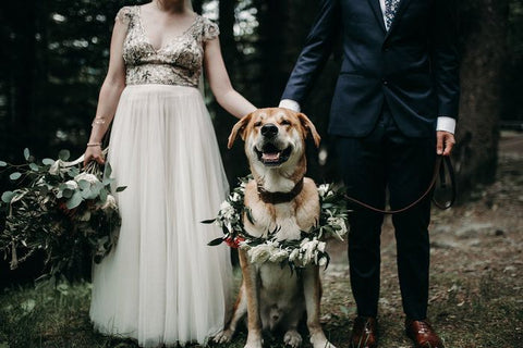 Bohemian Alaskan Wedding in the Mountains