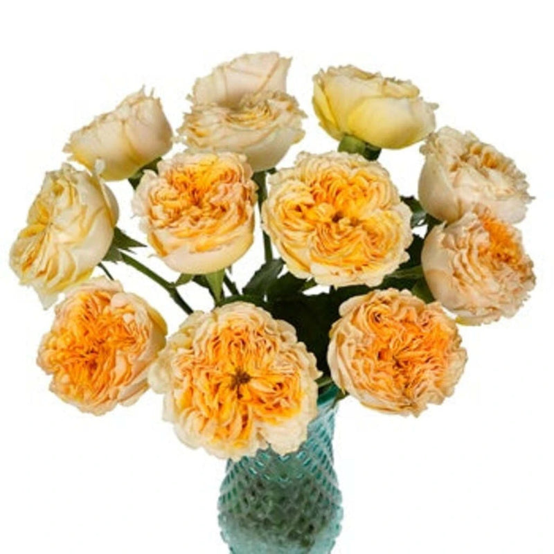 Golden Apricot Garden Rose Vase - Image