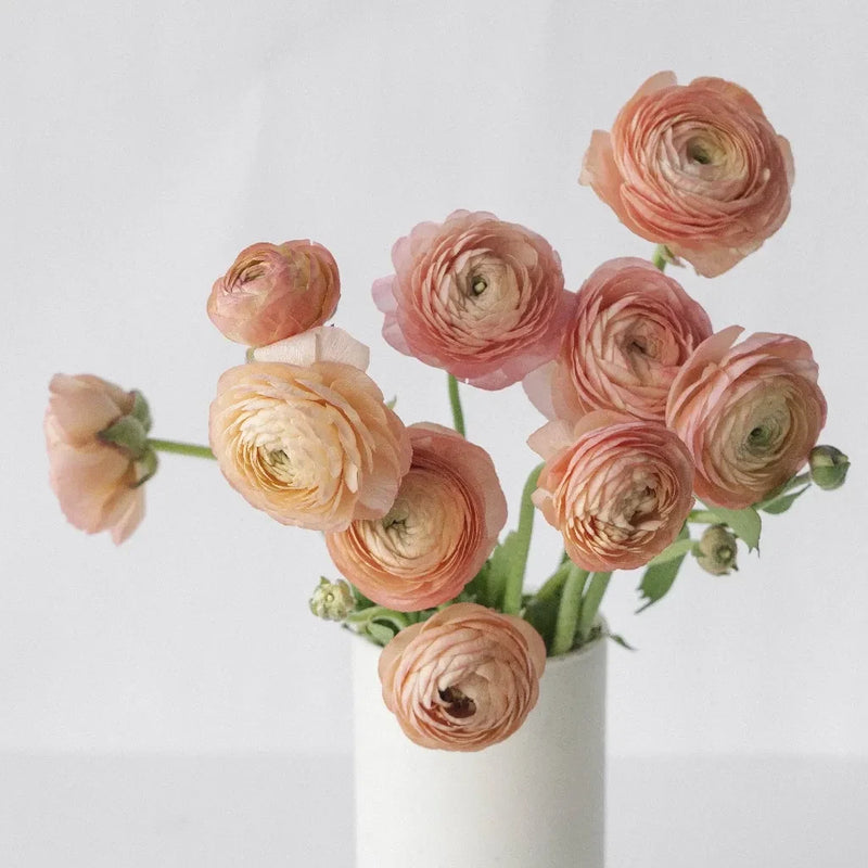 Peachy Coral Ranunculus Fresh Cut Flower Apron - Image