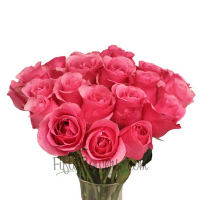 Queen Mary Hot Pink Roses Hand - Image