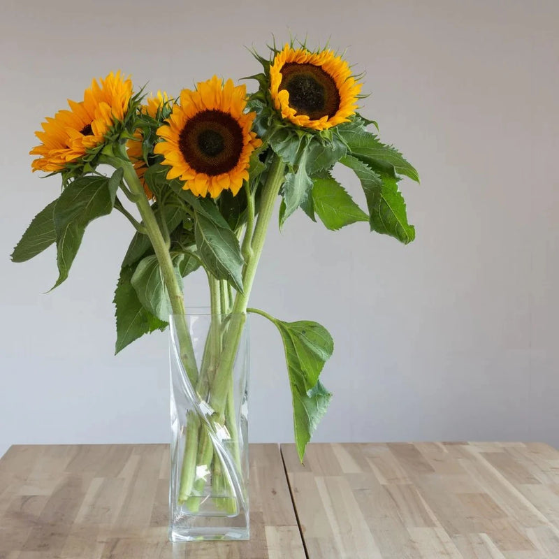 Solidago Flowers Yellow Vase - Image