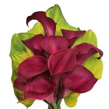 Ready To Go Wholesale Centerpieces Card