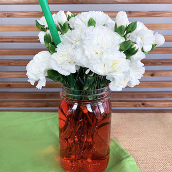 Flower Science Experiment for Kids