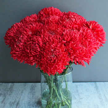 Fiery Red Tinted Football Mum