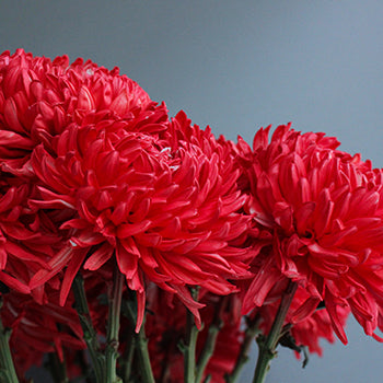 Fiery Red Tinted Football Mum