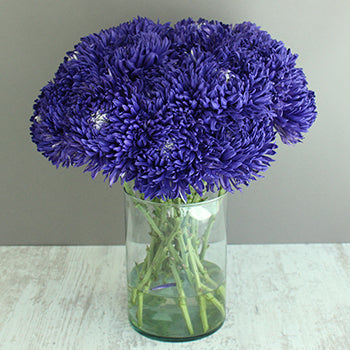 Northern Lights Purple TInted Football Mum