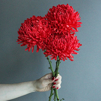 Fiery Red Tinted Football Mum