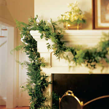 Fern and Ivy Greens Garland