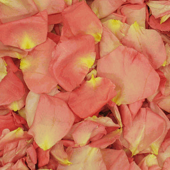 Pink Dried Rose Pedals