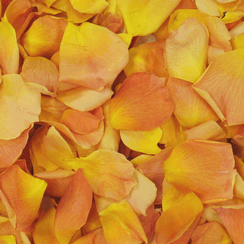 Mango Orange Dried rose Petals