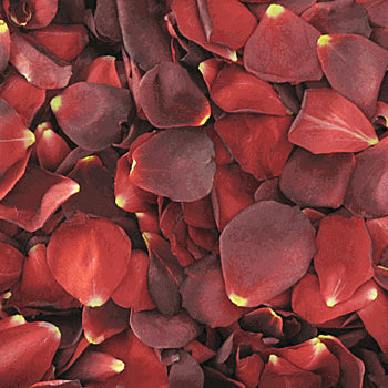 Red Dried Rose Petals for Weddings