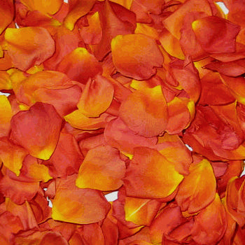 Dried Rose Petals