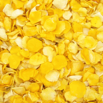 Summer Sun Petite Dried Rose Petals