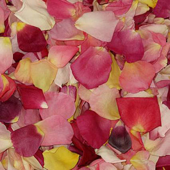 Dried Wedding Flower Petals Wholesale