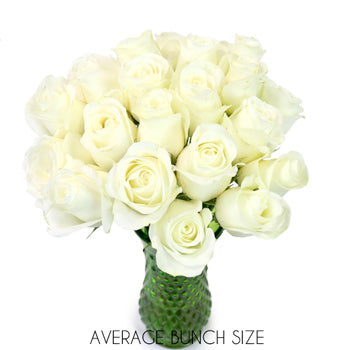 White Akito Sweetheart Roses