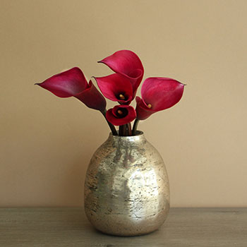 Pink Merlot Mini Calla Lilies