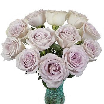 Slightly Silver Rose