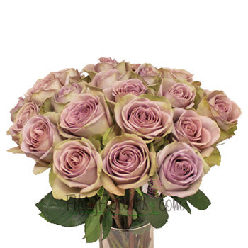 Amnesia Lavender Rose Bunch