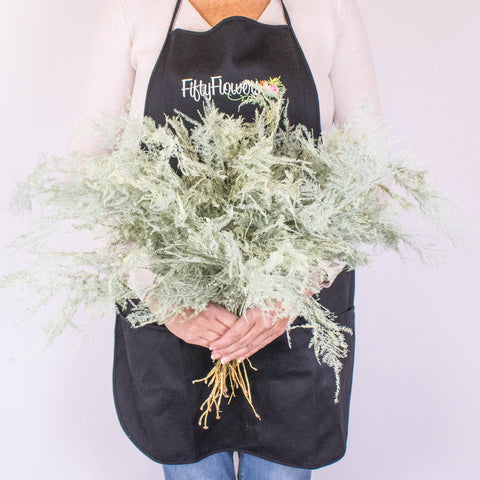 Asparagus Cream Wholesale Greenery Handheld