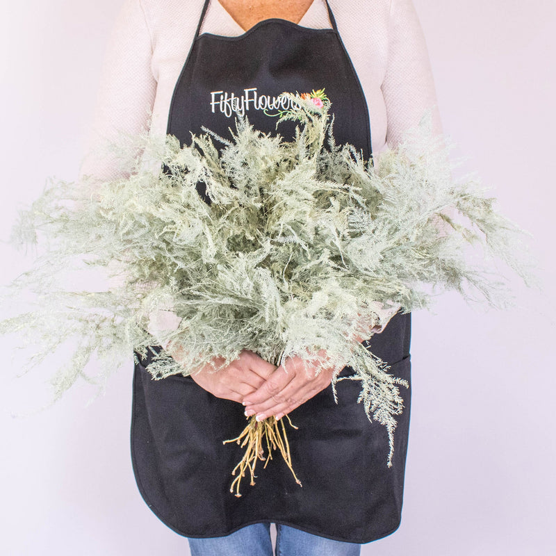 Asparagus Cream Wholesale Greenery Handheld