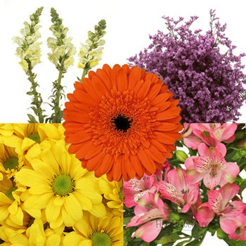 Fresh Cut Flowers Assorted Mothers Day Combo Pack