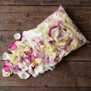 Buy Dried Rose Petals Grey Knights