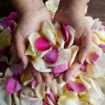 Grey Knights Dried Rose Petals
