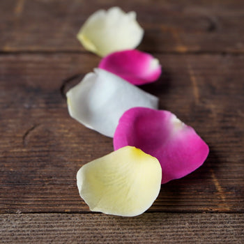 Grey Knights Dried Flower Petals