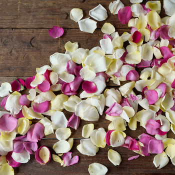 Bulk Dried Rose Petals Grey Knights