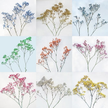 Choose Your Own Airbrushed Baby's Breath